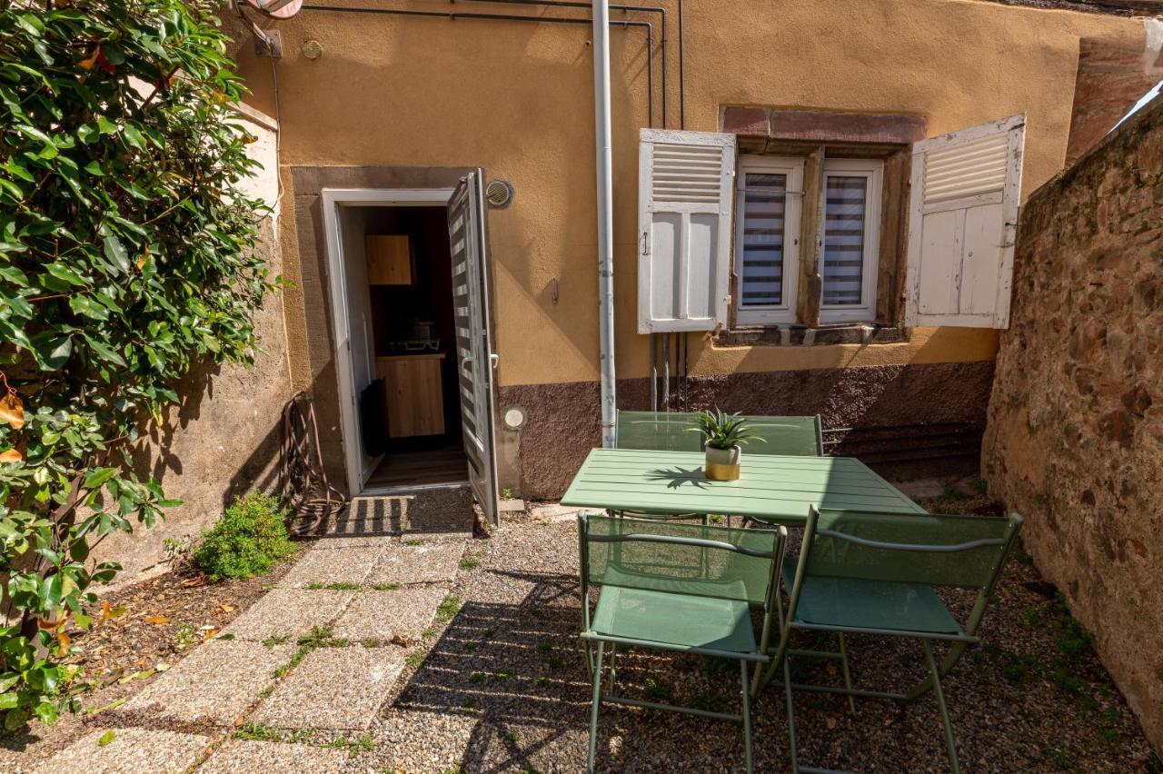 Appartement Cosy Avec Jardin Au Centre Historique De Selestat & Proche Europa-Park Εξωτερικό φωτογραφία