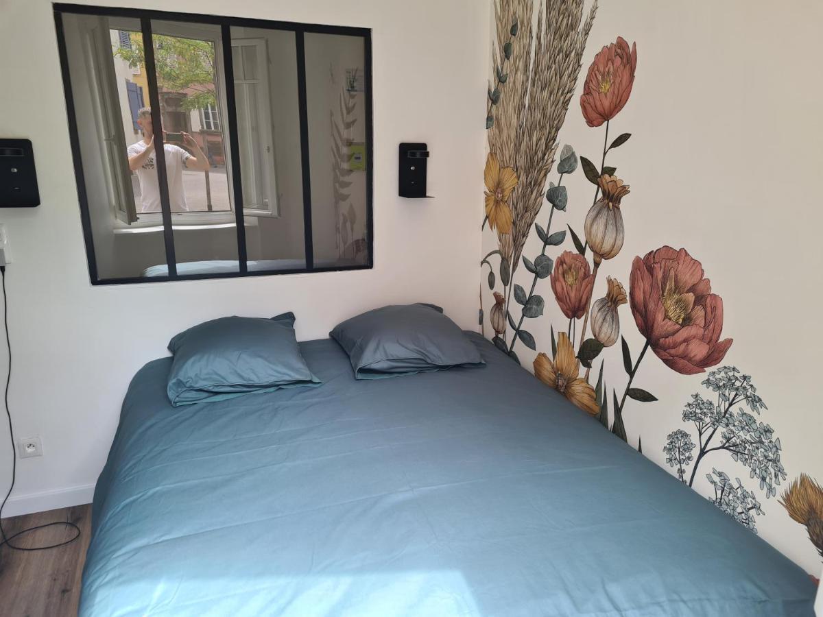 Appartement Cosy Avec Jardin Au Centre Historique De Selestat & Proche Europa-Park Εξωτερικό φωτογραφία
